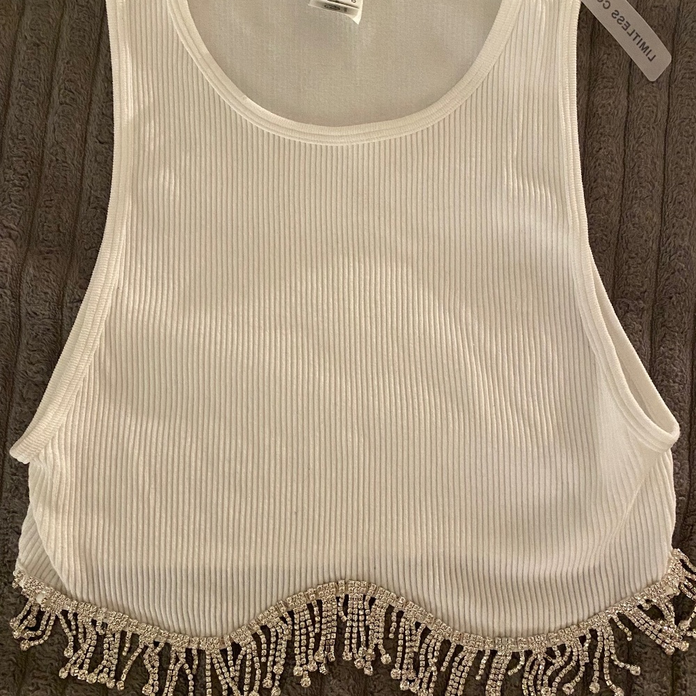 Never worn Zara Crop top